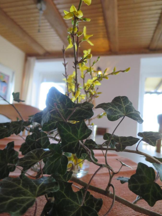 Wiechs am Randen Alpaka-Ferien 아파트 외부 사진